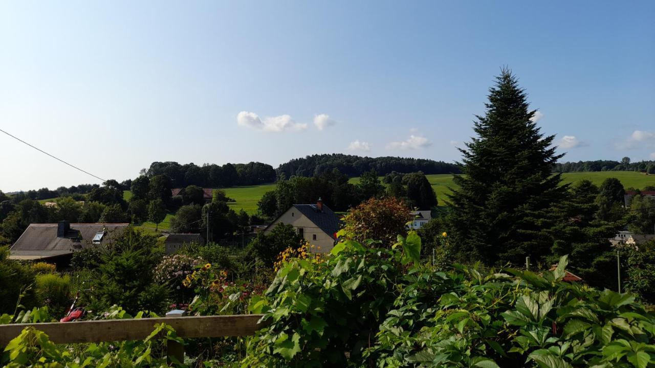 Falkenstein Reinhardtsdorf-Schona 외부 사진
